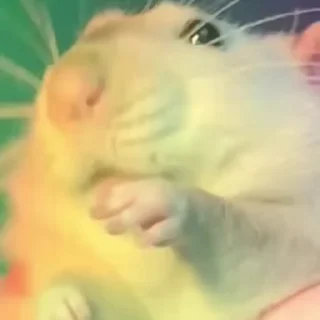 🕺