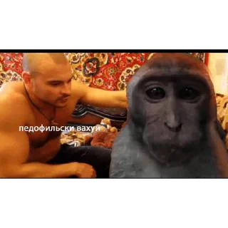 🐵