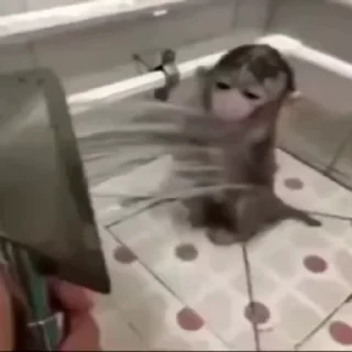 🚿