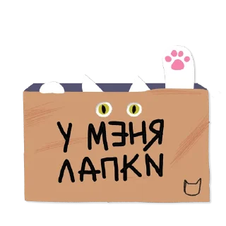 🙈