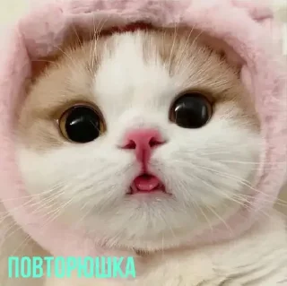 🫢