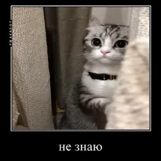 😡