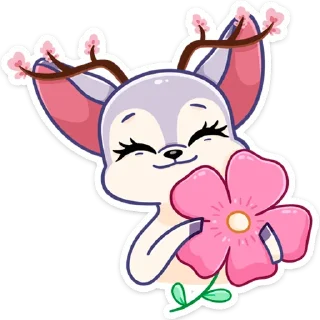 🌺