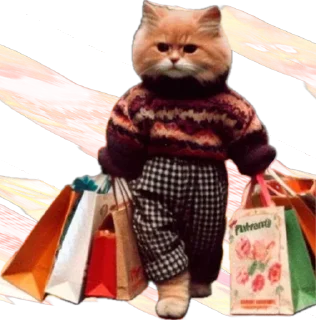 🛍️