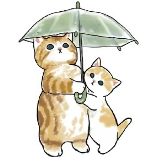 ☔