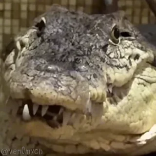 😉