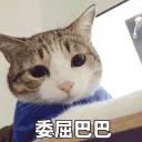 😢