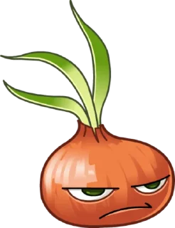 🧅