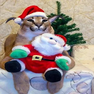 🎄
