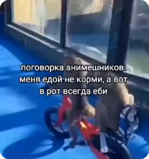 👆