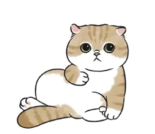 🪑