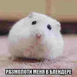 😅