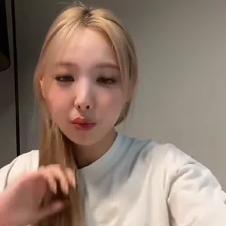 🐰