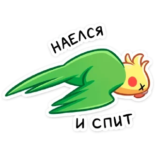 😴