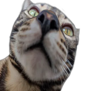 😳