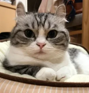 🤫