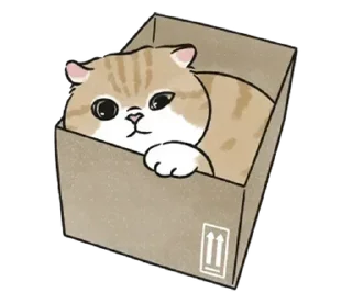 📦