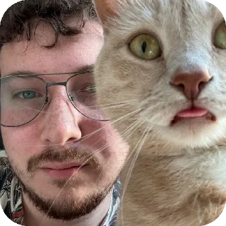 🐱