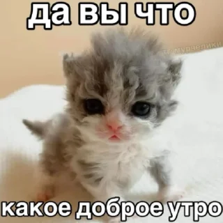 😭