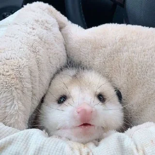 😯