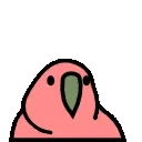 🦜