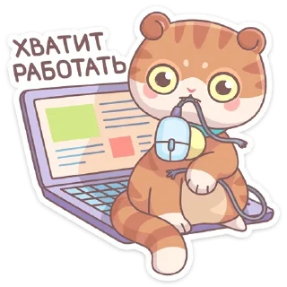 💻