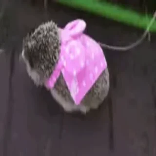 🏃‍♂