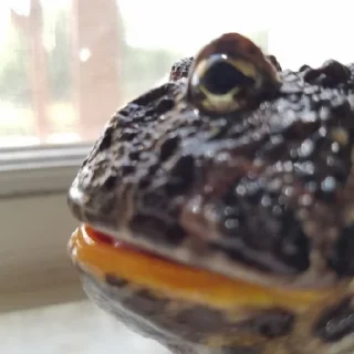 😐