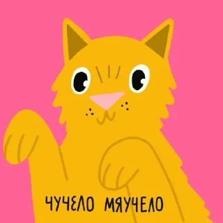 🐱