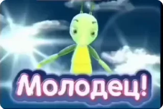 🌟