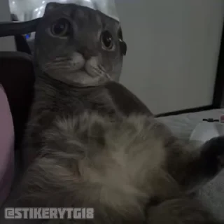 😳