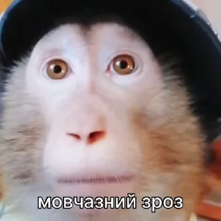 🤫