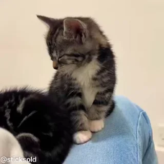 ❤️