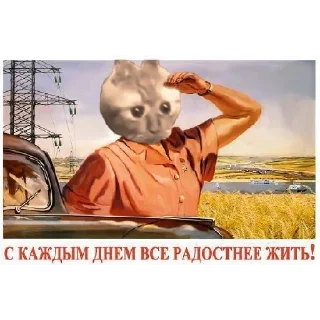 😳