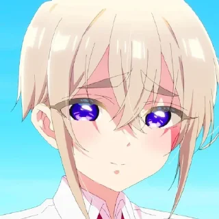 ✨