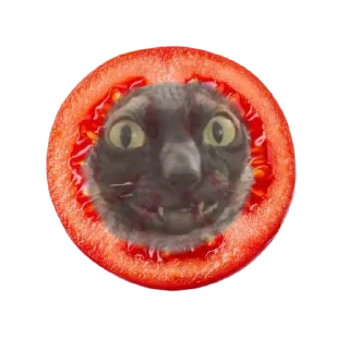 🍅