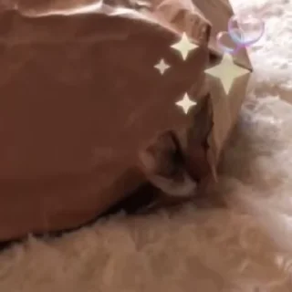 😳