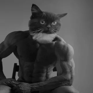 💪