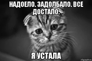 😭