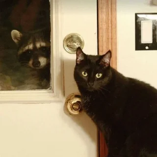 😑