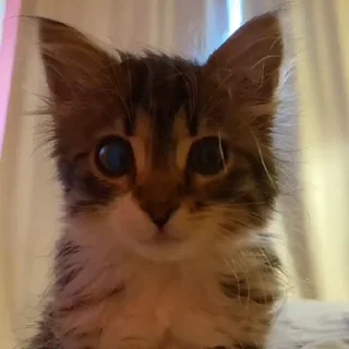 😳
