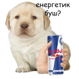 🥺