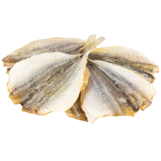 🐠