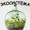 Экосистема
