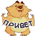 BearBob