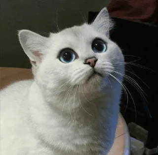 💙