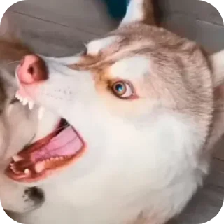 🤬