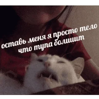 😺