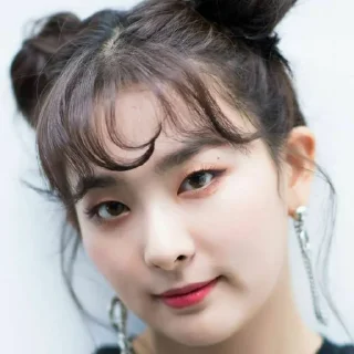 🖇