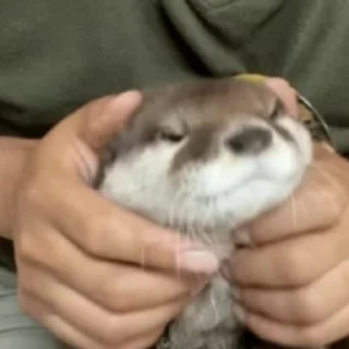 🥰